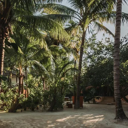 Hotel Las Nubes Holbox-2